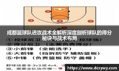 成都篮球队进攻战术全解析深度剖析球队的得分秘诀与战术布局